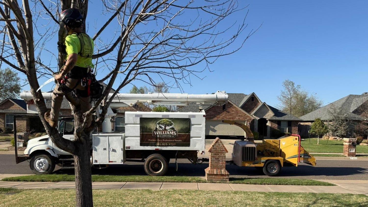 Williams Tree & Landscaping truck and crew working on a neighborhood tree