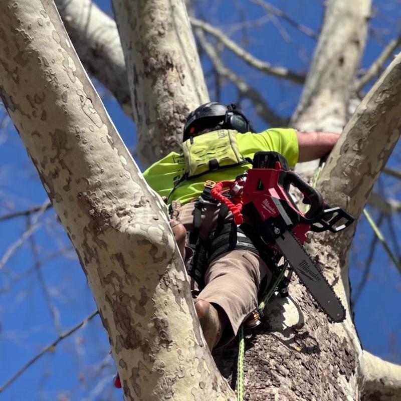 Tree and landscape work in Oklahoma